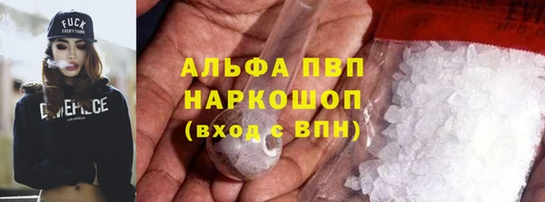 стаф Алексин