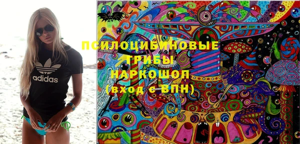 стаф Алексин