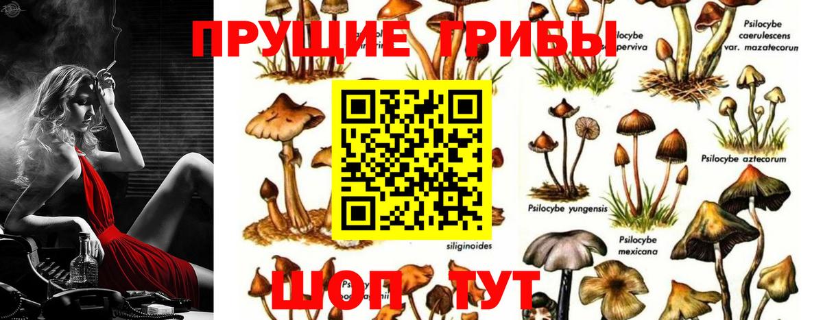 Галлюциногенные грибы Cubensis  Вход с VPN  Красноярск 